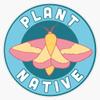 Plant Native Rosy Maple Moth Sticker Vinyl Waterproof Sticker Decal Car Laptop Wall Window Bumper Sticker 5" view 1