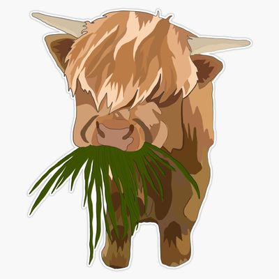 Highland Sticker Vinyl Waterproof Sticker Decal Car Laptop Wall Window Bumper Sticker 5"