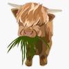 Highland Sticker Vinyl Waterproof Sticker Decal Car Laptop Wall Window Bumper Sticker 5" view 1