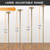 IINCOOY Portable Stripper Dance Pole Height Adjustable Spinning Static Dancing Pole for Home view 4