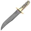 American Damascus Bowie Knife with Genuine India Stag Bone Handle view 2