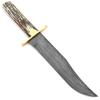 American Damascus Bowie Knife with Genuine India Stag Bone Handle view 3