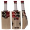 SS Gutsy Cricket Bat - Kashmir Willow Cricket Bat view 1