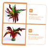 BESPORTBLE 4pcs Hand-Made Jianzi Kick Shuttlecocks for Foot Exercise and Entertainment Games High Chicken Jianzi for Fun view 2