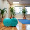 AppleRound Inflated Wobble Cushion with Hand Pump, Air Stability Board (Extra Thick), Core Balance Disc for Adults, Sensory Wiggle Seat for Kids, Flexible Seating for All Age, 13.5in / 34cm Diameter view 4
