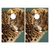 Cornhole Board Wraps Jaguar Wild Cat Cornhole Skins for Boards,3ft x 2ft Skin Decal Vinyl Wrap for Cornhole Game Board Bag Toss (2xpcs.) view 1