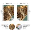 Cornhole Board Wraps Jaguar Wild Cat Cornhole Skins for Boards,3ft x 2ft Skin Decal Vinyl Wrap for Cornhole Game Board Bag Toss (2xpcs.) view 4