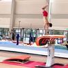CIRCIR Vault Contest Gymnastics Springboard for Home/Gymnastics Bar/Gymnastics Center, Red Padded Carpet Professional Sturdy Mini Trampoline, Load 200lbs / 90kg view 2