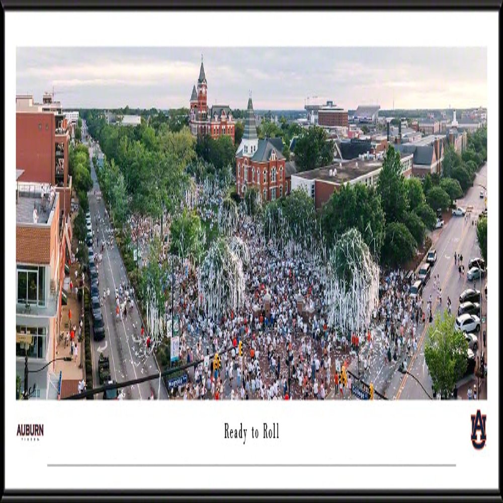Auburn Oaks, Rolling Again - 40.25x13.75-inch Standard Framed Print by Blakeway Panoramas