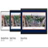 Auburn Oaks, Rolling Again - 41.5x15-inch Single Mat, Select Framed Picture by Blakeway Panoramas view 4
