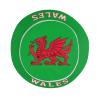 Wales Flag (2) Cool Welsh Bucket Hat 3D Printing Fisherman Hats Summer Travel Hiking Beach Sun Caps Multi view 4