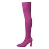 Women's Thigh High Boots Over-the-Knee Boots Stretchy Knit Round Toe Knee High Boots Black Stretch Suede Chunky Heel Platform Over The Knee Thigh High Boots Fashion Long Fall Boots (D-Purple, 9) view 1