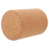 BESPORTBLE Yoga Cylinder Creative Yoga Column Rollers Convenient Roller Back Training Cylinder Plastic Anti-Skid Circle Massage 15c Blocks Cork view 1