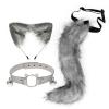 MYCENSE Ears and Tail Ears Hair Clip Lolita Fancy Dress Long Tail Gifts with Choker Cosplay Hair Hoop Headdress for Christmas Masquerade Party, Grey view 1