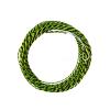 WAOCEO Fishing Line 1PCS Fly Fishing Line 11FT 12FT 13FT 3.3M 3.6M Fishing Line Super Strong Fishing Line Fishing Wire (Size : 11FT 3.3m), YIFEI2013-SHOP-1228 view 1