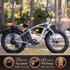 Elevate Cabo Beach Cruiser Electric Bike for Adults - 24x4 Fat Tire Electric Bike - 60 Mile Range 20MPH 48V 500W Motor E-Bike 11.6Ah - UL2849 Certified Ebike Adult Electric Bicycles for Men & Women view 3
