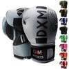 DXM SPORTS Boxing Gloves for Men & Women, Boxing Training Gloves, Kickboxing Gloves, Sparring Gloves, Heavy Bag Workout Gloves for Boxing, Kickboxing, Muay Thai, MMA (Silver & Black, 8 oz) view 1