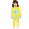 HSTiSan Toddler Girls Clothes Sets Long Sleeve Cotton Athletic Clothing Outfit Kids 2 Piece Fall Sunflower Sweatshirt Yellow 12-18M view 1