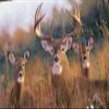 Buck Stops Here 550 Piece Puzzle view 1