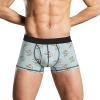 Cute Salmon Fish Funny Mens Boxer Briefs Soft Underwear Printed Underpants Trunks Shorts view 1