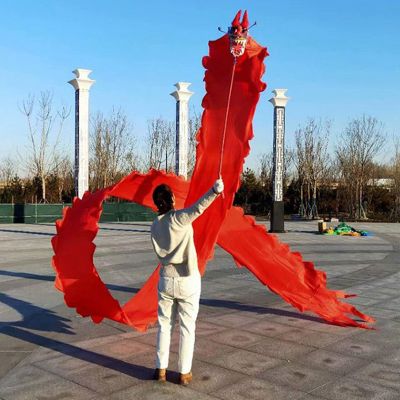 CMYUN Dragon Poi Rainbow Shaking Dragon Poi Kite, Silk Dragon Ribbon Dancer Streamer with Head, Art Dance Flag for Fitness Juggling Gym Practice, 6/8/10m Ribbon (Color : Red, Size : Length - 8m/26ft)