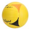 DAUZ Indoor Volleyball, Class Volleyball Size 5 Rubber Liner for Gym view 1