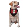 Peru Flag Dog Scarf Pet Bandana Cat Pet Bibs view 1