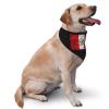 Peru Flag Dog Scarf Pet Bandana Cat Pet Bibs view 2