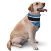 Botswana Flag Dog Scarf Pet Bandana Cat Pet Bibs view 2