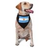 Argentina Flag Oil Painted Dog Scarf Pet Bandana Cat Pet Bibs