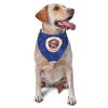 Minnesota State Flag Dog Scarf Pet Bandana Cat Pet Bibs view 1