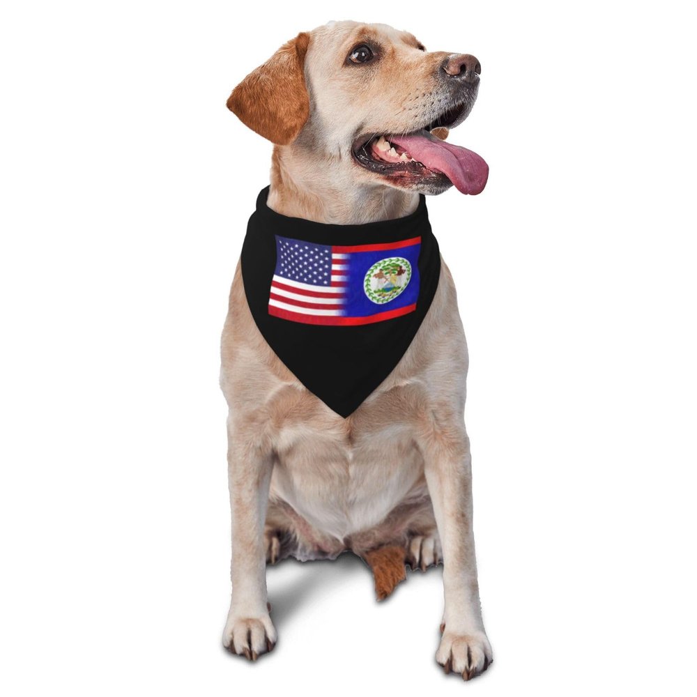 Belize America Flag Oil Painted Dog Scarf Pet Bandana Cat Pet Bibs