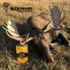 Buck Fever Moose Juice (4 oz) , Syntheticly Formulated Moose Attractant - Non-Spoiling Synthetic Bull Scent for Outdoor Trail Camera - Early Season Mature Buck Hunting Scents view 3