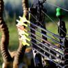 Momentum TDT Arrows, High FOC .001" per inch Continous Taper, 3K Woven Carbon, 31.5" Long, Manufactured by Victory Archery, 70 grain In/Outsert, 2" Q2i vanes, 400 Spine for 45# to 55# bows, 6-Pack view 3