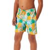 Member's Mark Boy's Resort Swim Trunk (XX-Large, Pineapple Bloom) view 1