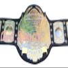 TNA World Heavyweight Wrestling Championship Belt Dual Gold Plated view 1