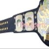 TNA World Heavyweight Wrestling Championship Belt Dual Gold Plated view 2