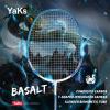 YAKS 2PCS 3U Ful Carbon Professional Uitra Light High Elastic Adult Student Training Badminton Racket Set Durable Type Blue-White view 2