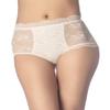 iB-iP Women's Sheer Lace Trim See Through Transparent Mesh High Waisted Hipster Panties, Size: 10, Light Yellow view 1