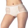 iB-iP Women's Sheer Lace Trim See Through Transparent Mesh High Waisted Hipster Panties, Size: 10, Light Yellow view 2