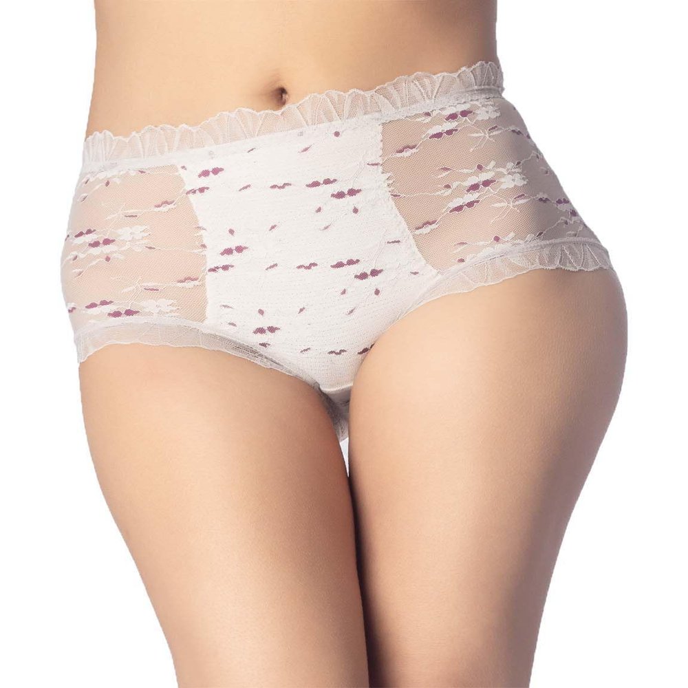 iB-iP Women's Sheer Lace Trim See Through Transparent Mesh High Waisted Hipster Panties, Size: 4, Off White