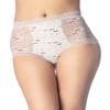 iB-iP Women's Sheer Lace Trim See Through Transparent Mesh High Waisted Hipster Panties, Size: 4, Off White view 1