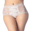 iB-iP Women's Sheer Lace Trim See Through Transparent Mesh High Waisted Hipster Panties, Size: 4, Off White view 2