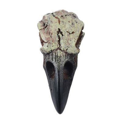 Ankexin Crow Skull Necklace for Adult Halloween Goths Jewelry Resin RavenSkull Pendant Party Decorations Novelty Jewelry Gift