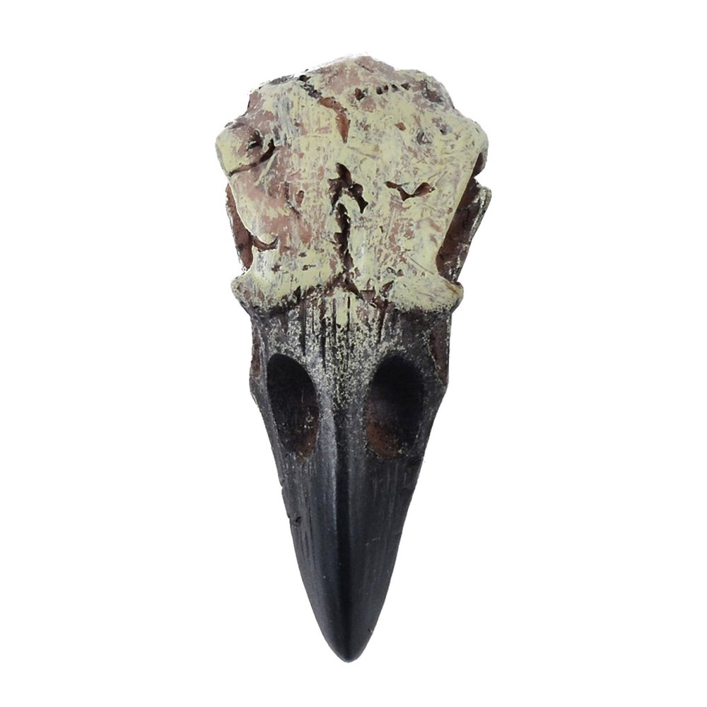 Ankexin Crow Skull Necklace for Adult Halloween Goths Jewelry Resin RavenSkull Pendant Party Decorations Novelty Jewelry Gift
