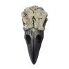 Ankexin Crow Skull Necklace for Adult Halloween Goths Jewelry Resin RavenSkull Pendant Party Decorations Novelty Jewelry Gift view 1