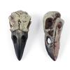 Ankexin Crow Skull Necklace for Adult Halloween Goths Jewelry Resin RavenSkull Pendant Party Decorations Novelty Jewelry Gift view 3