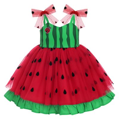 Baby Girls 1st Birthday Watermelon Outfit First Birthday Party Dresses Toddlers One Year Old Smash Cake Bowknot Strap Tulle Ruffle Tutu Princess Pageant Wedding Special Occasion Clothes Red 2-3 Years