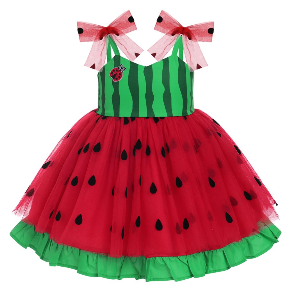 Baby Girls 1st Birthday Watermelon Outfit First Birthday Party Dresses Toddlers One Year Old Smash Cake Bowknot Strap Tulle Ruffle Tutu Princess Pageant Wedding Special Occasion Clothes Red 2-3 Years