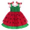 Baby Girls 1st Birthday Watermelon Outfit First Birthday Party Dresses Toddlers One Year Old Smash Cake Bowknot Strap Tulle Ruffle Tutu Princess Pageant Wedding Special Occasion Clothes Red 2-3 Years view 2